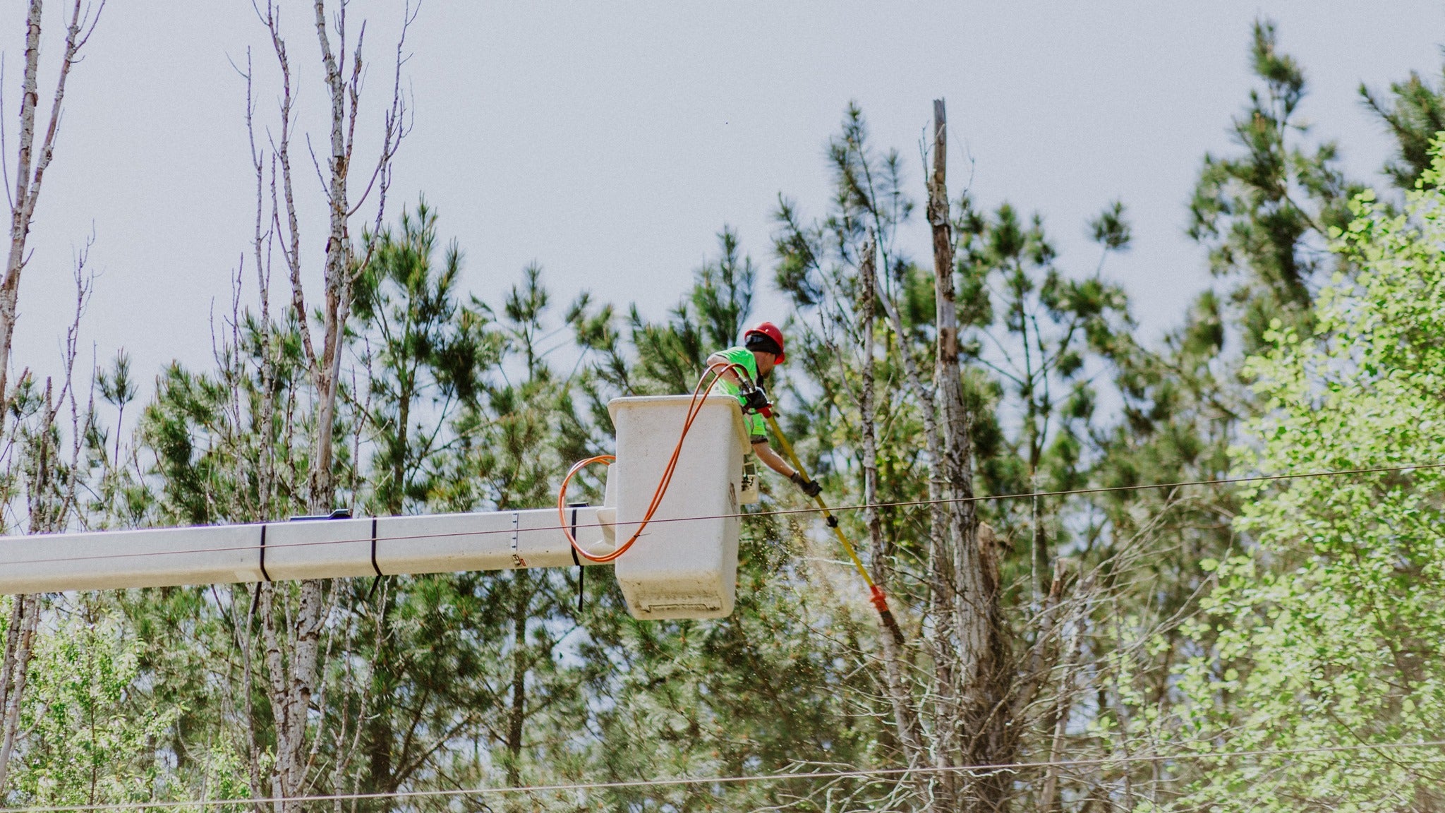 Vegetation Management CL April 2026