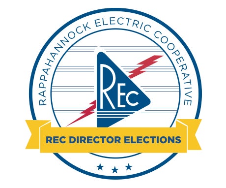 Director Elections Logo