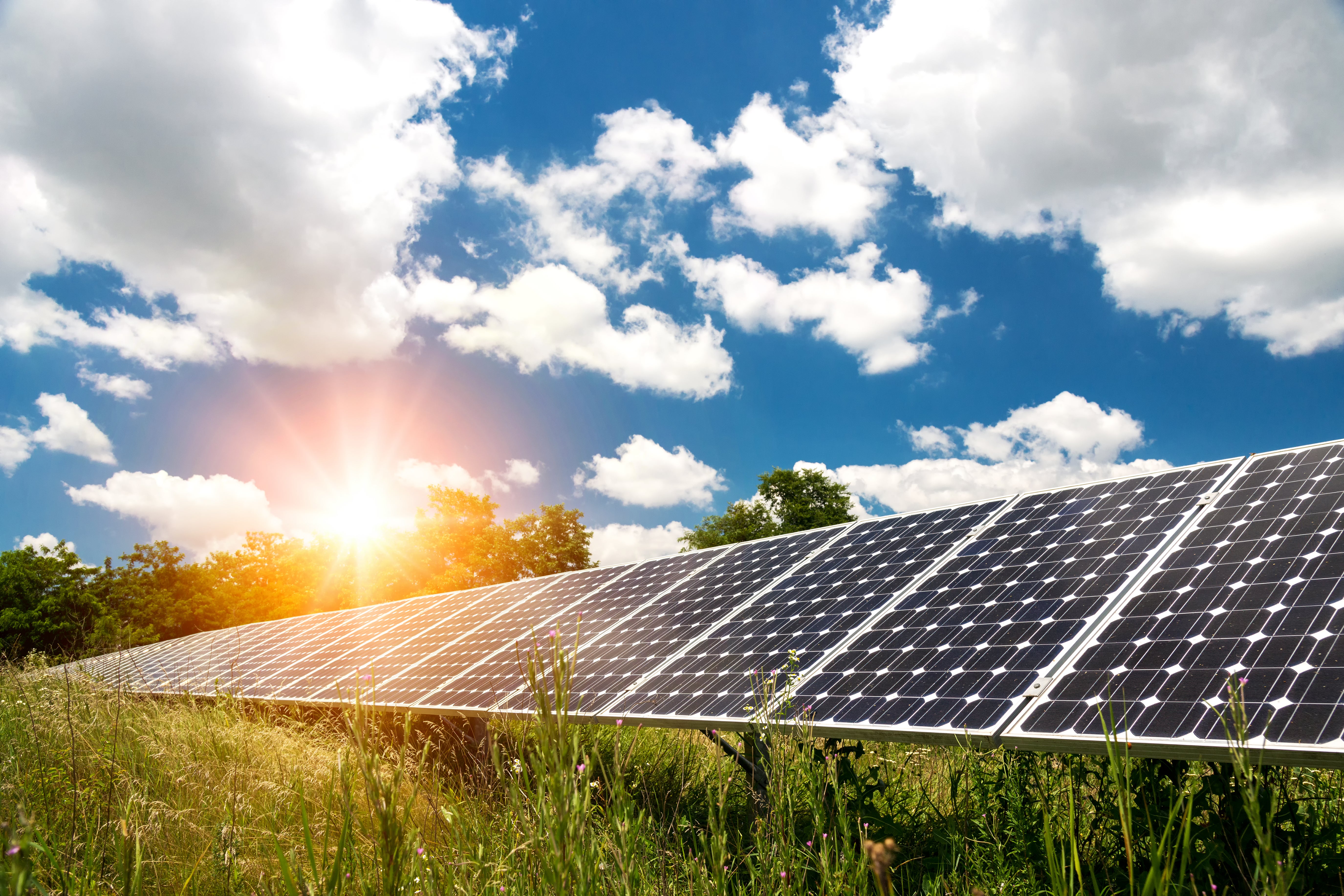Solar panels representing Cooperative Sunshare