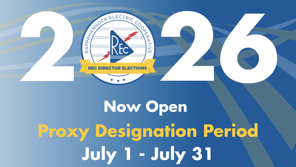 Proxy Designation Period