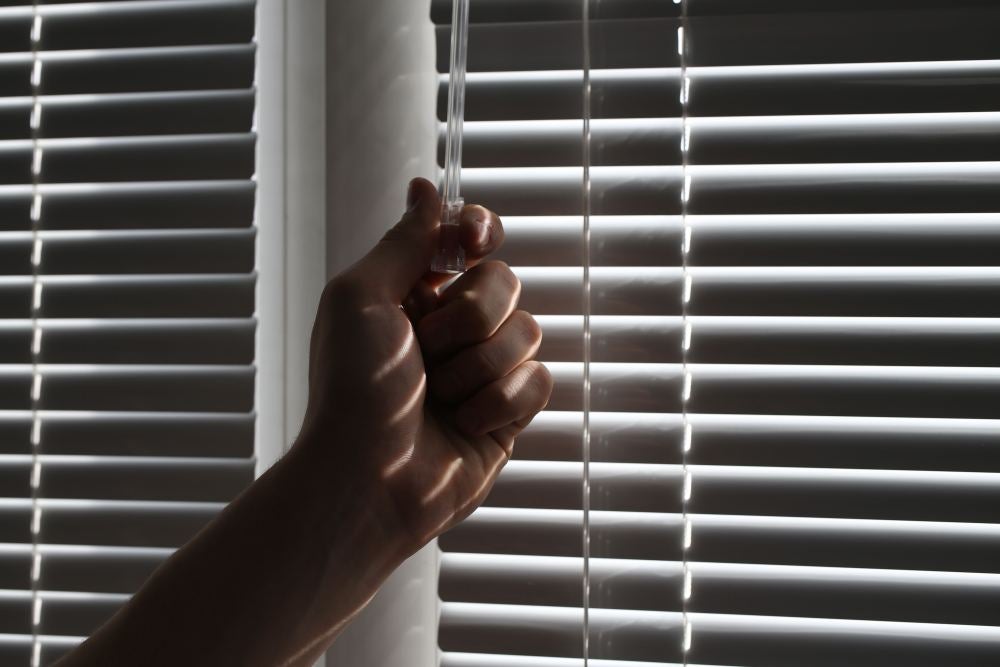 Blinds Cover