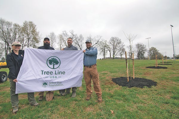 Tree Line USA Cover