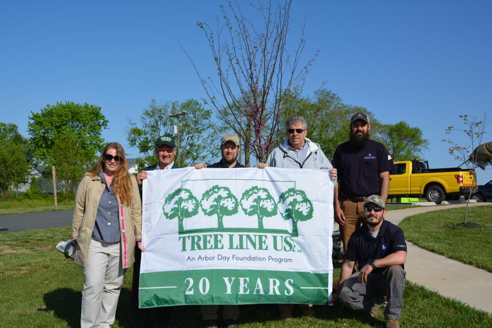 Tree Line USA