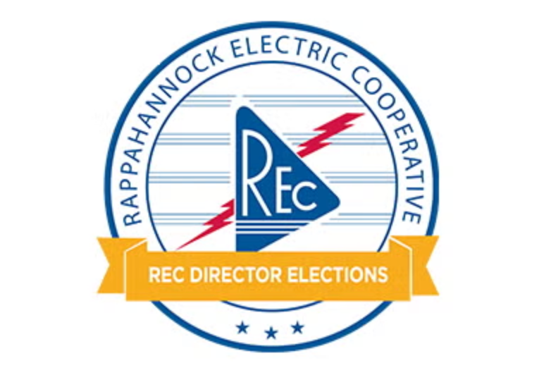 Director Elections Cover