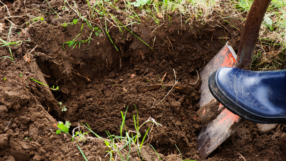 digging