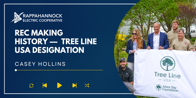 Tree Line USA