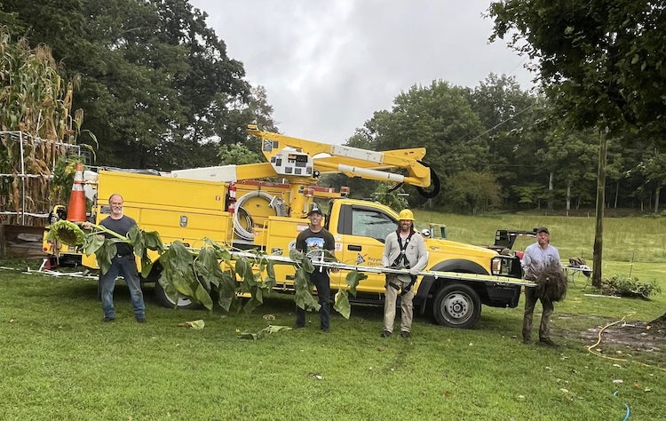 Little Lift: REC Crew Helps Local Grower Harvest Record-Setting Plants