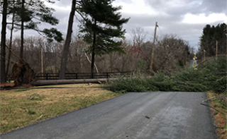 Storm Damage
