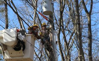 Linemen in bucket