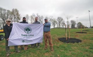 Tree Line USA Cover