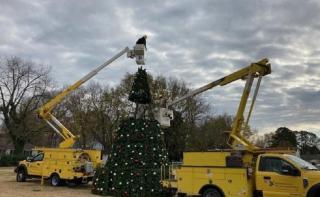 tree install