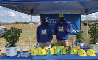 tree giveaway