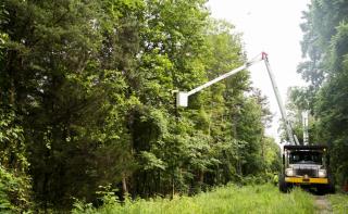 Vegetation Management